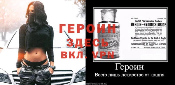 индика Гусев