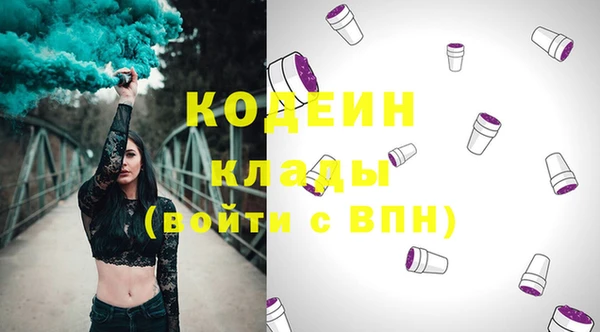 индика Гусев