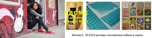 индика Гусев