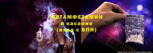 индика Гусев
