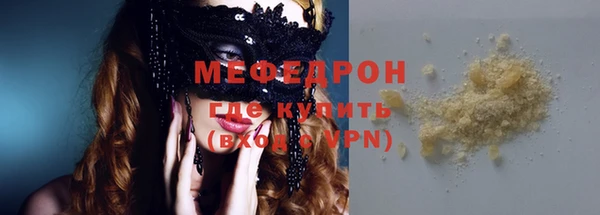 индика Гусев