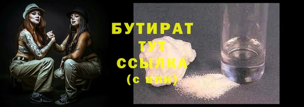 индика Гусев