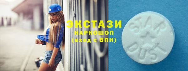 индика Гусев