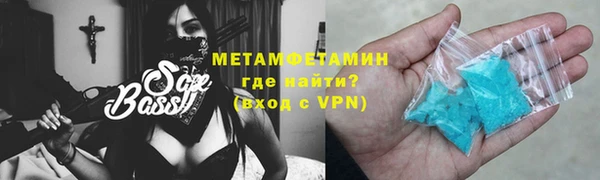 индика Гусев