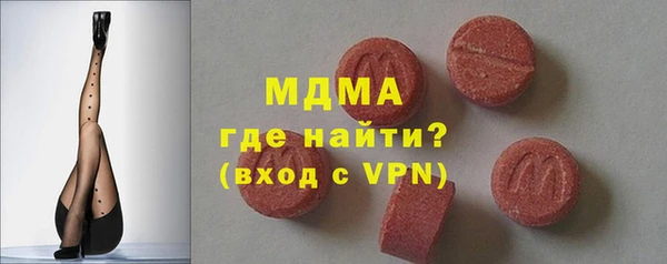 индика Гусев