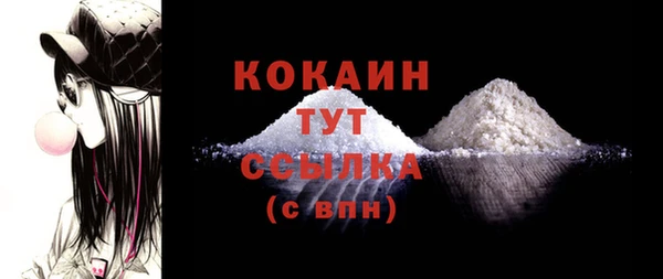 индика Гусев