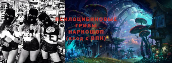 индика Гусев