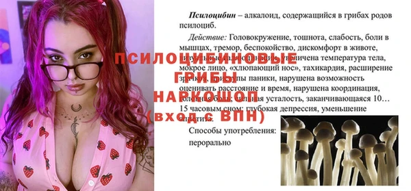 таблы Гусь-Хрустальный