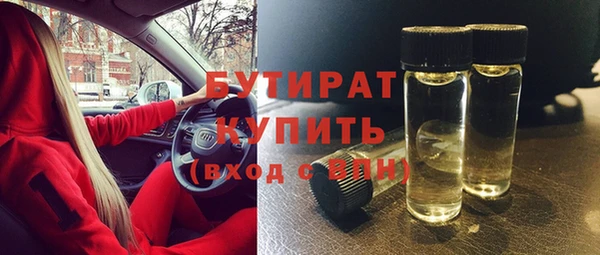 индика Гусев