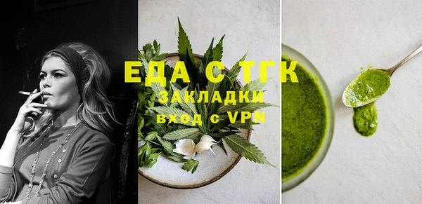 индика Гусев