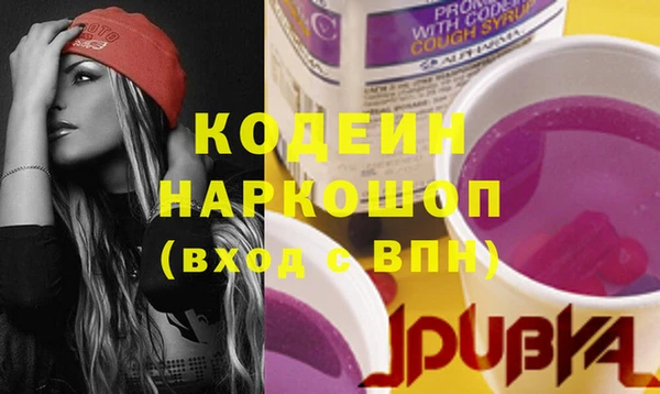 индика Гусев