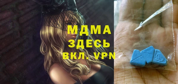 индика Гусев